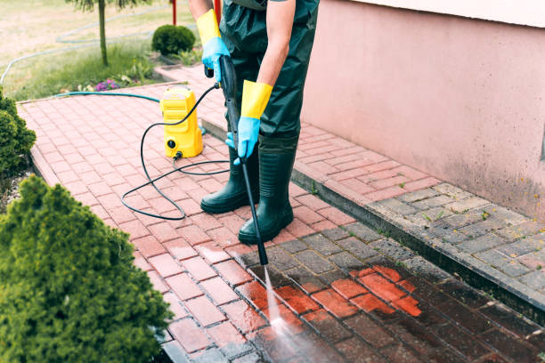Best Soft Washing for Delicate Surfaces in Moundville, AL