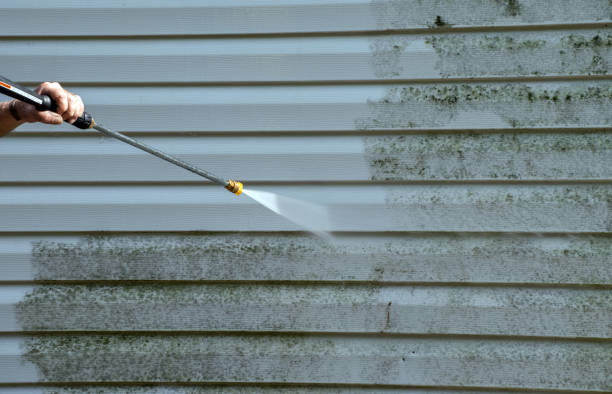 Best Gutter Cleaning and Brightening in Moundville, AL